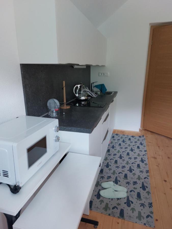 Apartma Sava-Stol Jesenice Bagian luar foto