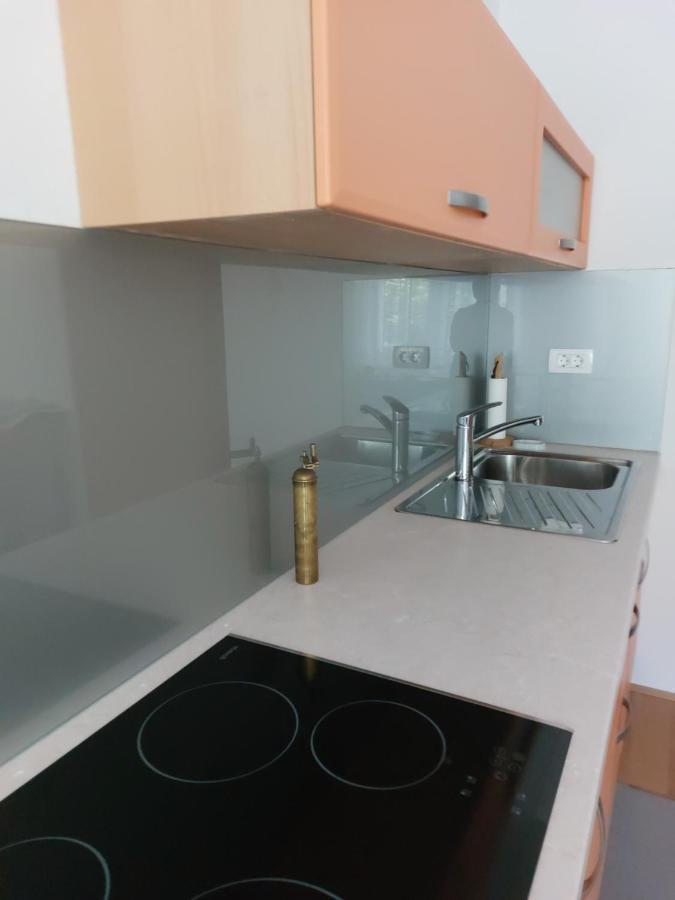Apartma Sava-Stol Jesenice Bagian luar foto
